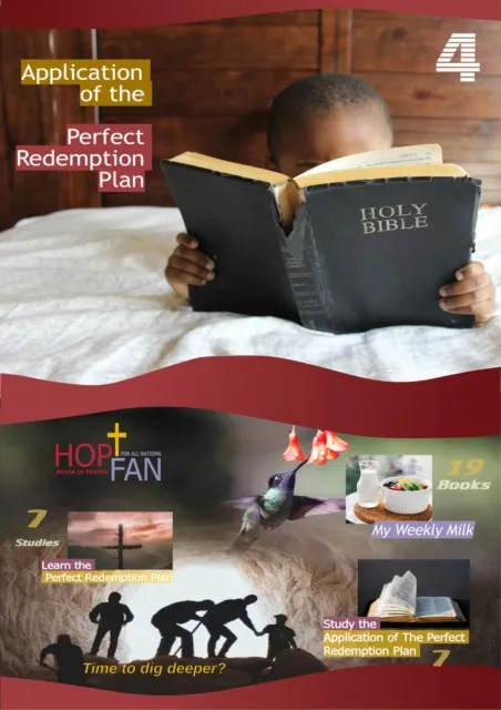 Application of the Perfect Redemption Plan 4
