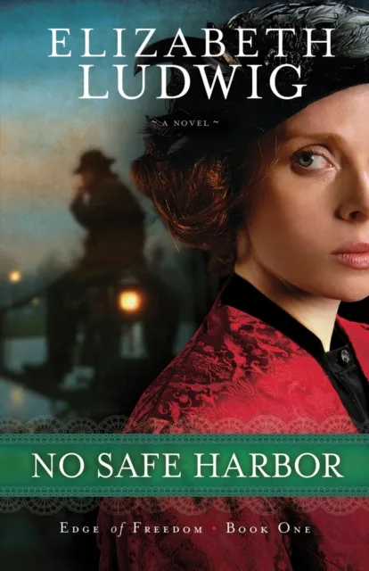 No Safe Harbor ( Book #1)