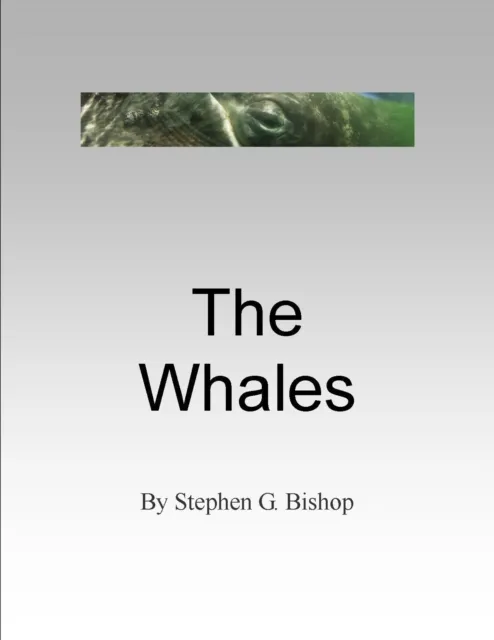 Whales