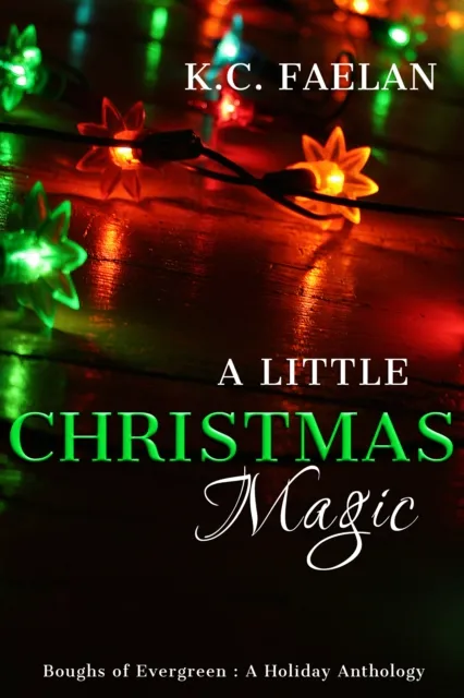 Little Christmas Magic
