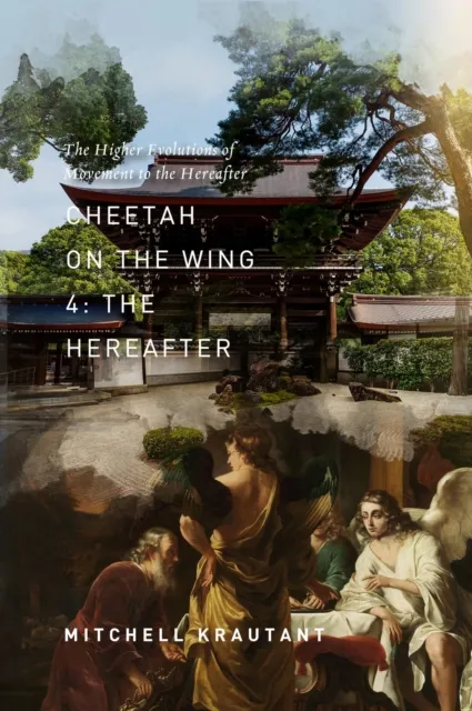 Cheetah On The Wing 4