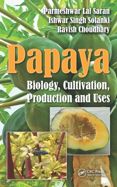 Papaya