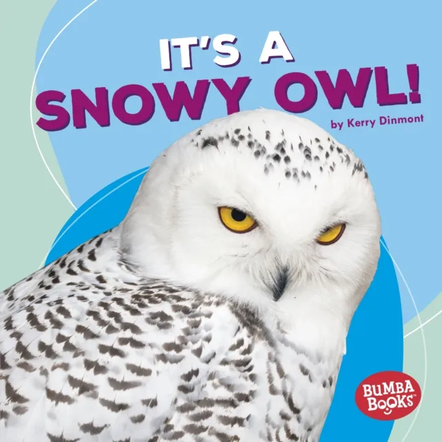 It's a Snowy Owl!