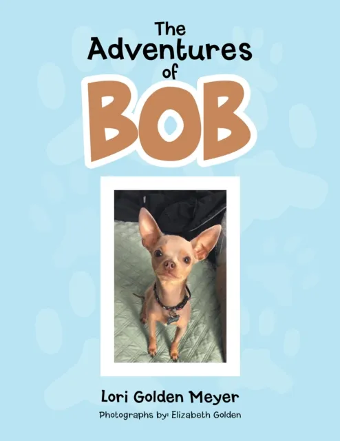 Adventures of Bob