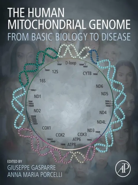 Human Mitochondrial Genome
