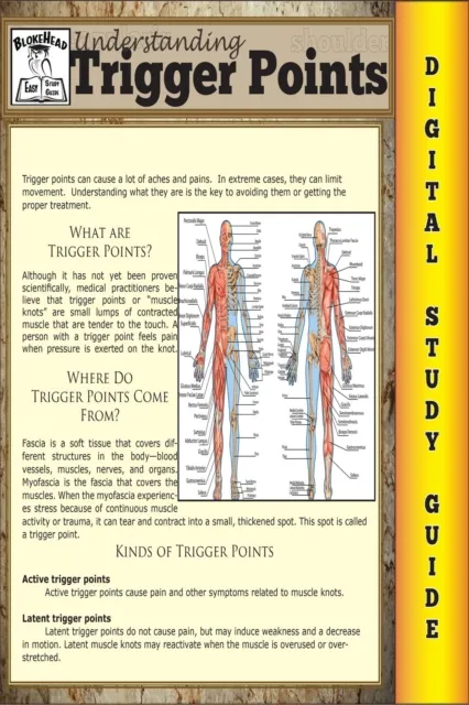 Trigger Points (Blokehead Easy Study Guide)