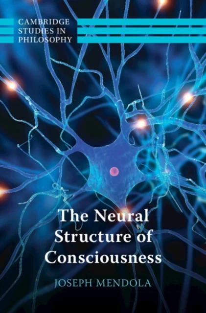 Neural Structure of Consciousness