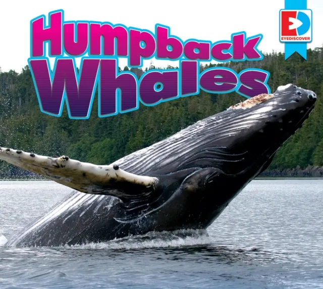 Humpback Whales