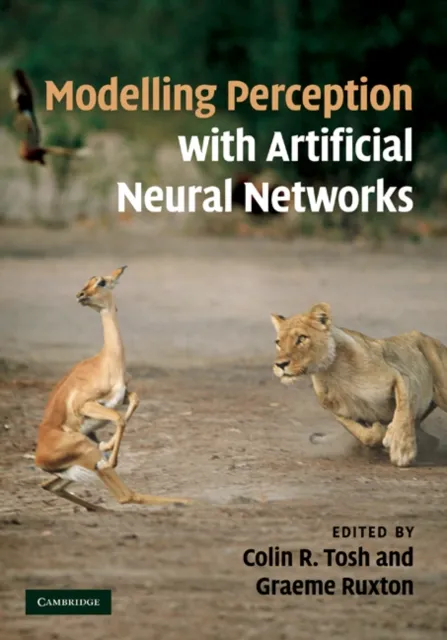 Modelling Perception with Artificial Neural Networks