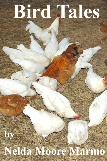 Bird Tales