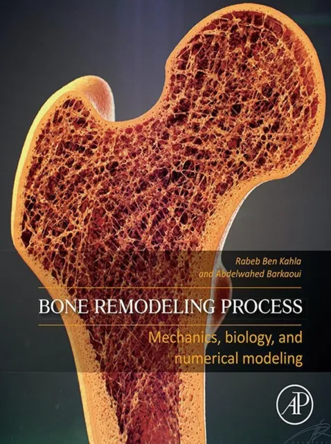 Bone Remodeling Process