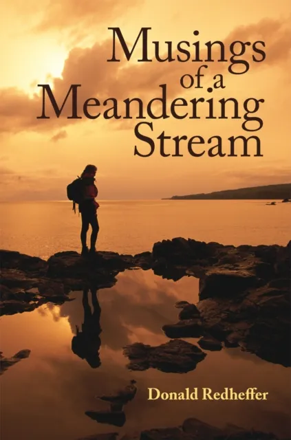 Musings of a Meandering Stream