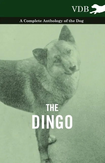 Dingo - A Complete Anthology of the Dog -