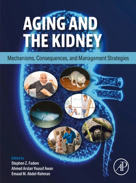 Aging and the Kidney