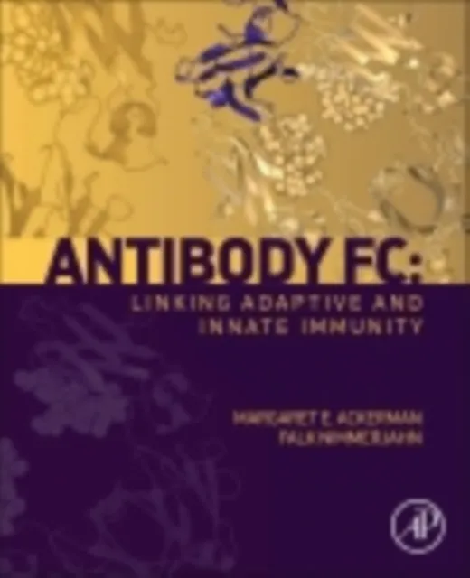 Antibody Fc
