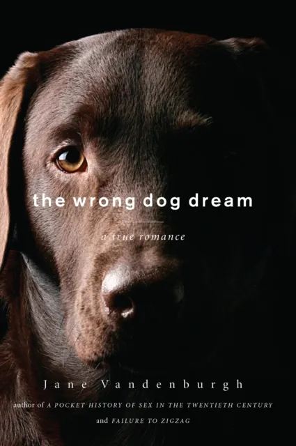 Wrong Dog Dream