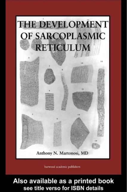 Development of the Sarcoplasmic Reticulum