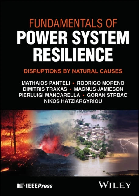 Fundamentals of Power System Resilience