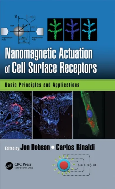 Nanomagnetic Actuation in Biomedicine