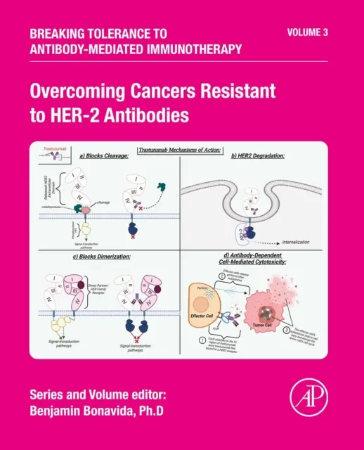 Overcoming Cancers Resistant to HER-2 Antibodies