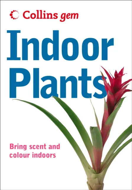 Indoor Plants