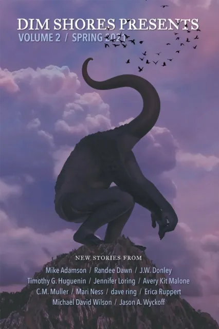Dim Shores Presents Volume 2