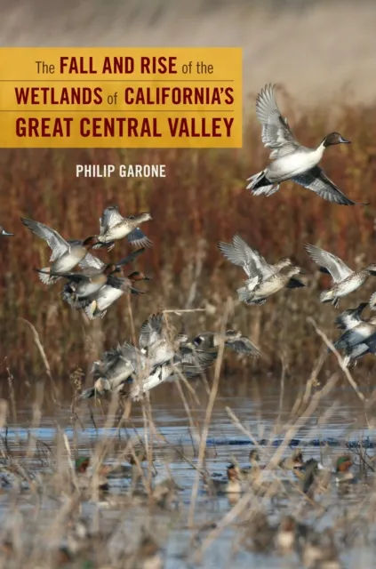 Fall and Rise of the Wetlands of California's Great Central Valley