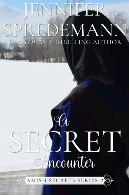 Secret Encounter (Amish Secrets - Book 3)