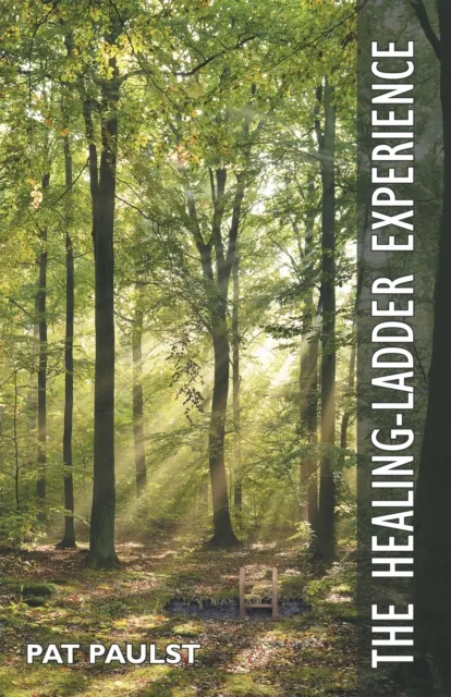 Healing-Ladder Experience