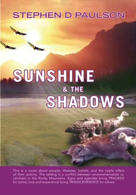 Sunshine & the Shadows