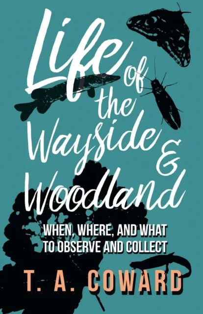 Life of the Wayside and Woodland