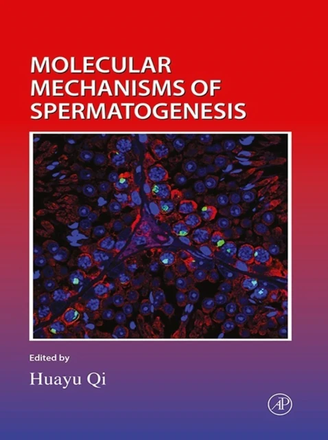 Molecular Mechanisms of Spermatogenesis