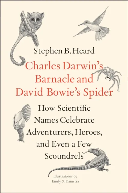 Charles Darwin's Barnacle and David Bowie's Spider
