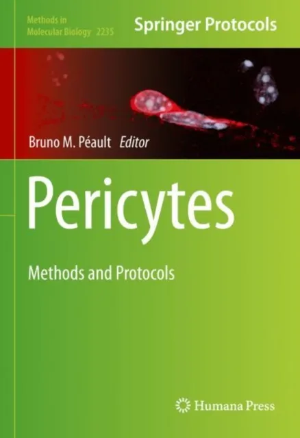 Pericytes