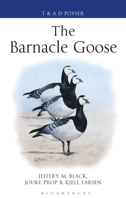 Barnacle Goose