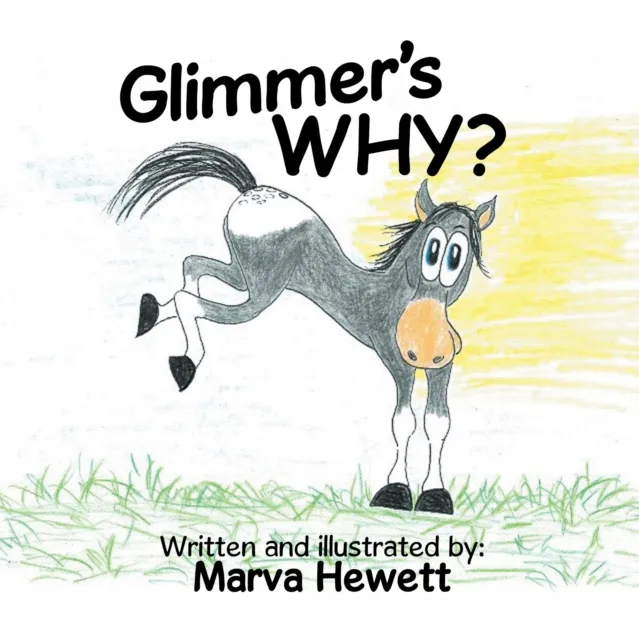 Glimmer's WHY?