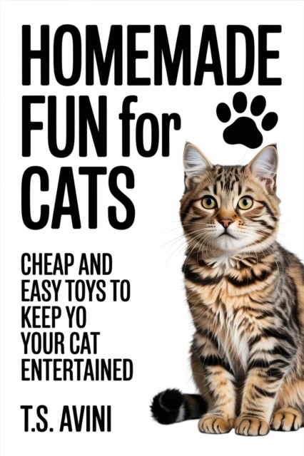 Homemade Fun for Cats