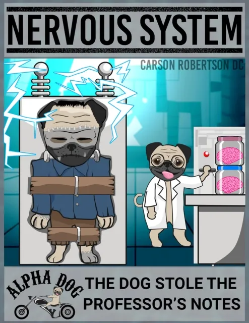 Nervous System - The Dog Stole the Professor's Notes