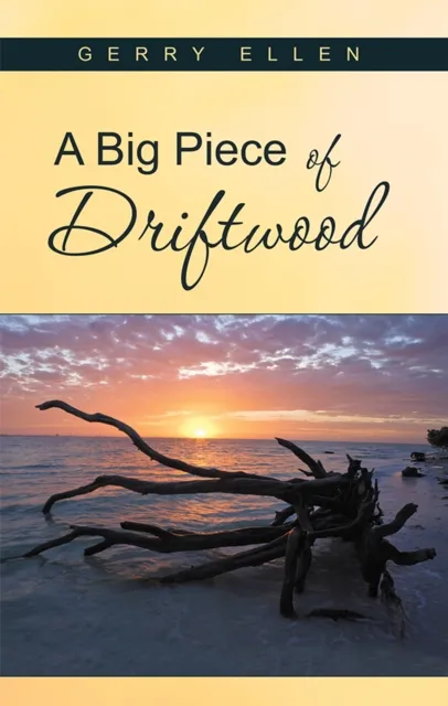 Big Piece of Driftwood