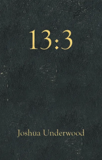 13:3