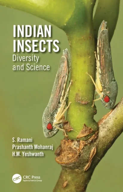 Indian Insects