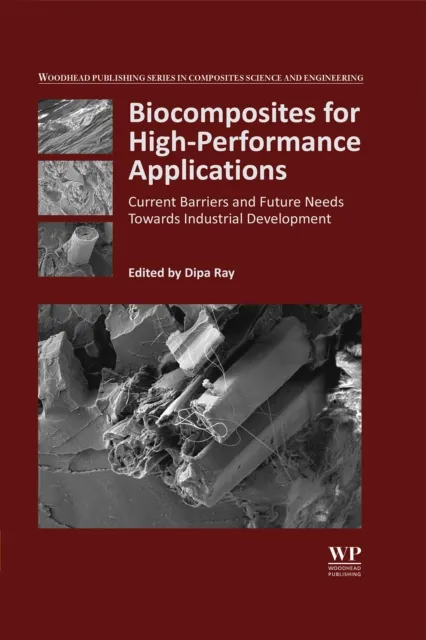 Biocomposites for High-Performance Applications