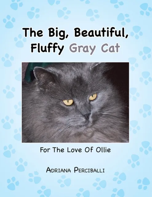 Big, Beautiful, Fluffy Gray Cat