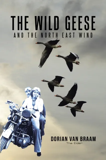 Wild Geese and the North East Wind
