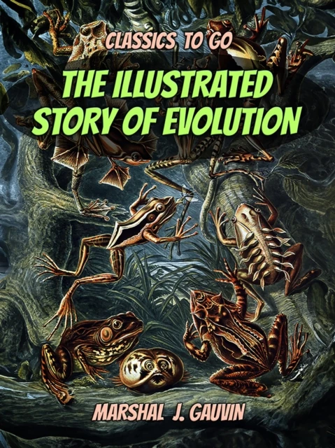 Illustrated Story of Evolution