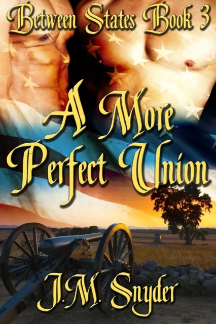 More Perfect Union