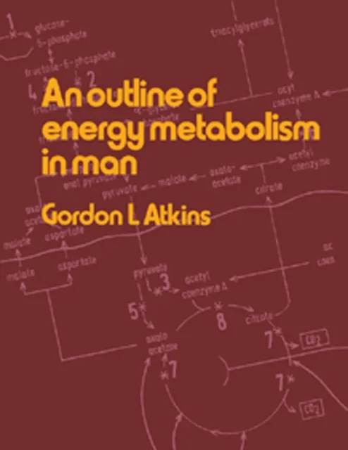 Outline of Energy Metabolism in Man