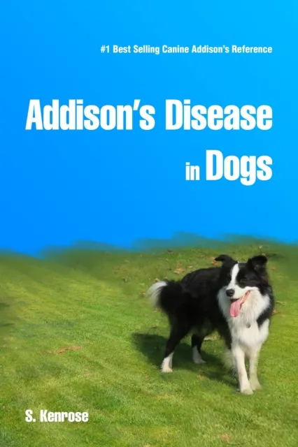 Addison's Disease in Dogs