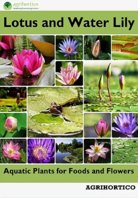 Lotus and Water Lily: Aquatic Plants for Foods and Flowers