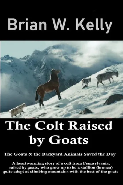 Colt Raised by Goats